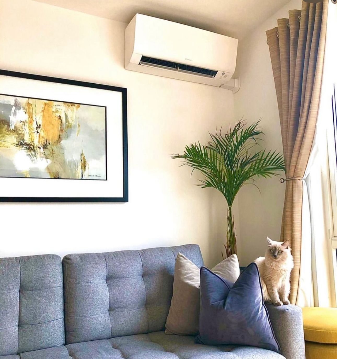 Daikin Air Conditioning unit installed in a residential property by future climate Ltd. The family cat is sat under the unit on a sofa and there is also a plant and a picture on the wall.